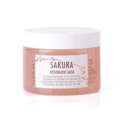 INEBRYA MASCA RESTAURATOARE 250ML