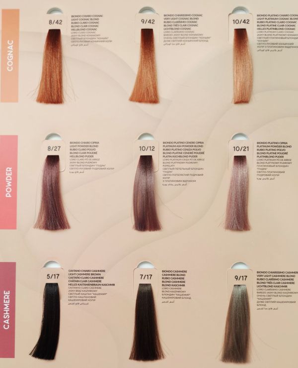 INEBRYA VOPSEA PERMANENTA PROFESIONALA 100ML-  10/12 PLATINUM ASH POWDER BLOND 