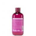INEBRYA SHECARE SAMPON LAMINANT ILUMINATOR PENTRU PARUL TERN SI LIPSIT DE STRALUCIRE 300ML